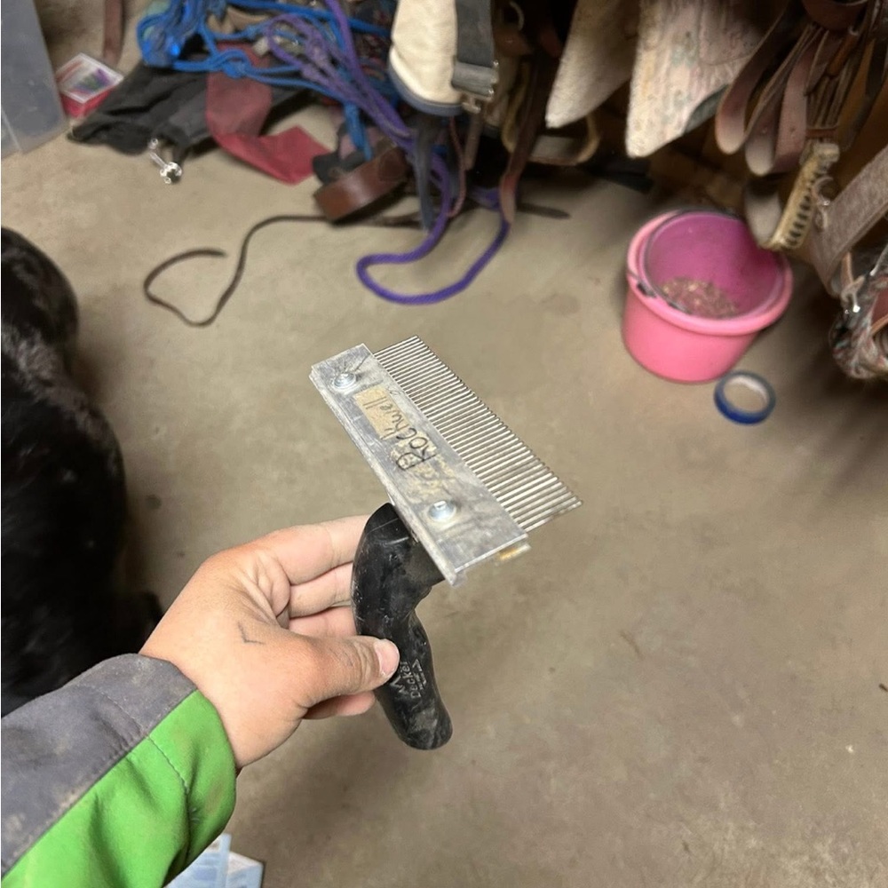 Other horse tack